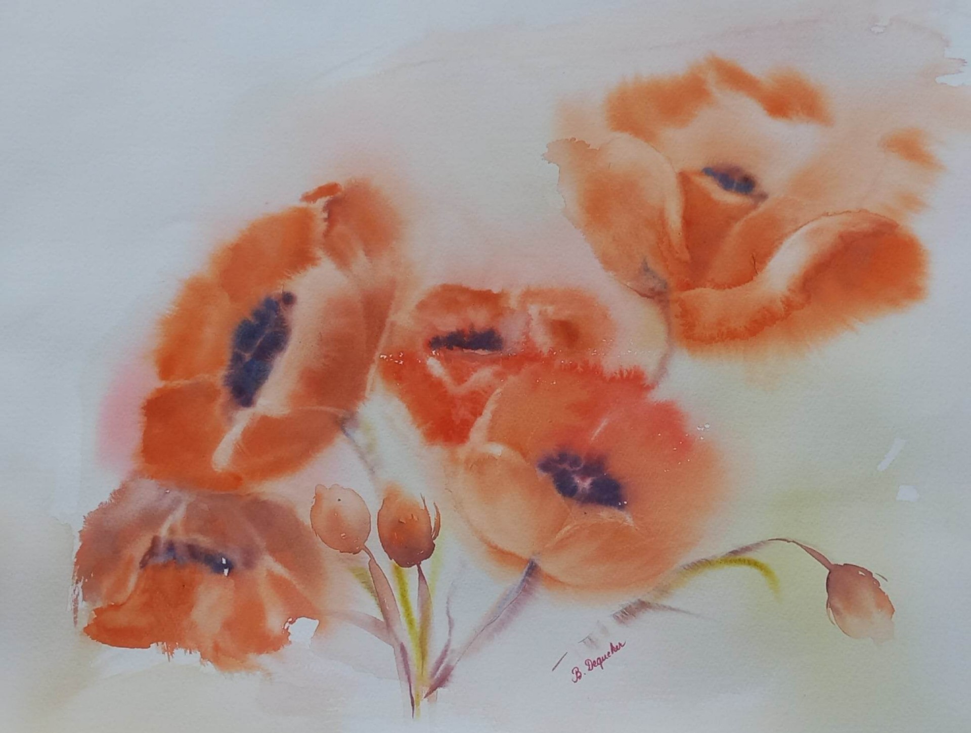 Bouquet de Coquelicots