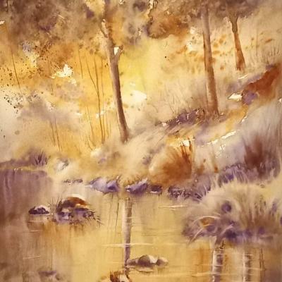 Paysages