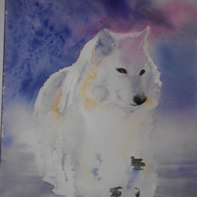 Animaux